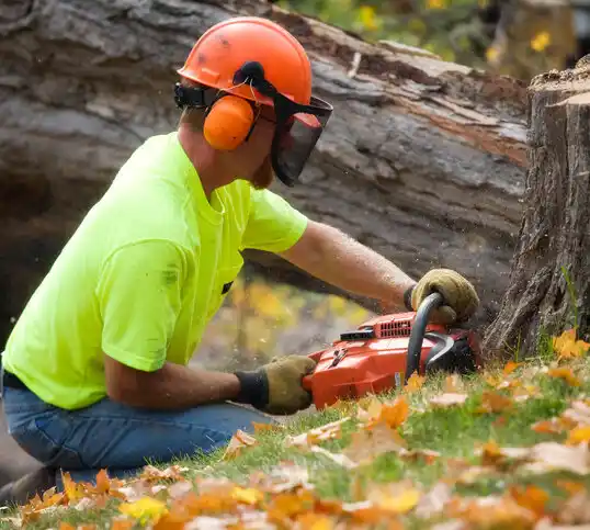 tree services Mount Repose